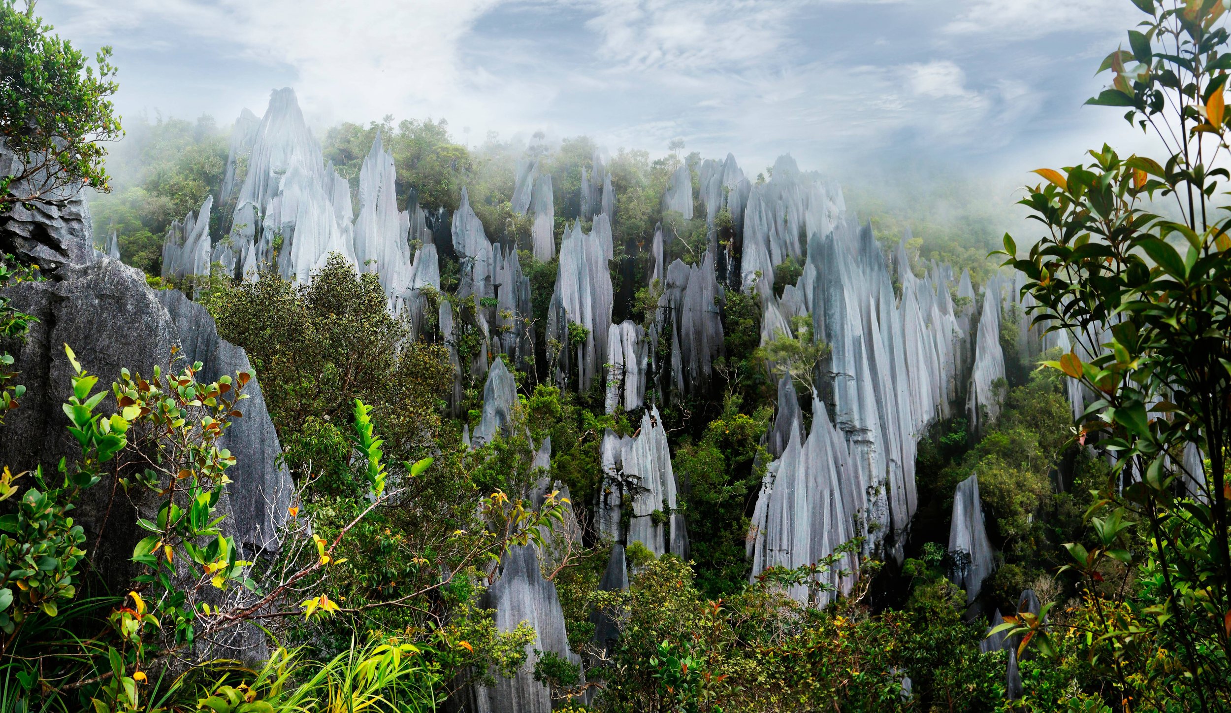 Gunung Mulu Sarawak